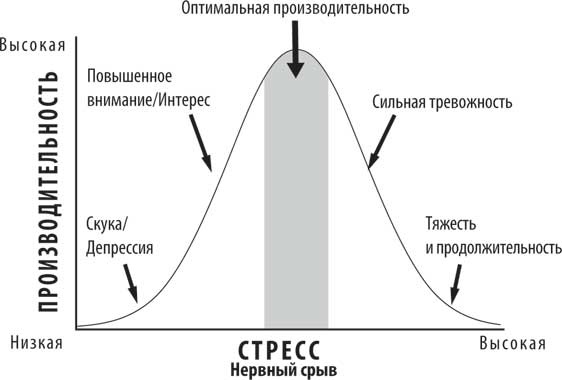 Поздний расцвет. Как взрослым добиться успеха в мире, одержимом ранним развитием