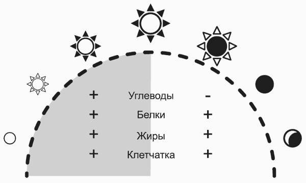 Здоровье без фанатизма: 36 часов в сутках