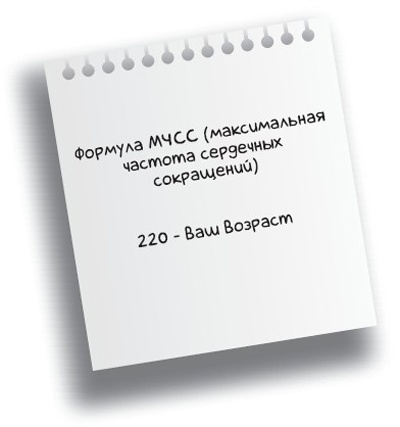 Здоровье без фанатизма: 36 часов в сутках