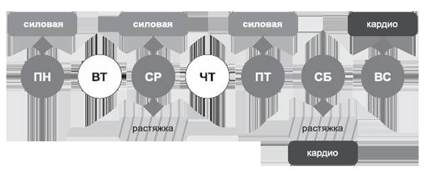 Здоровье без фанатизма: 36 часов в сутках