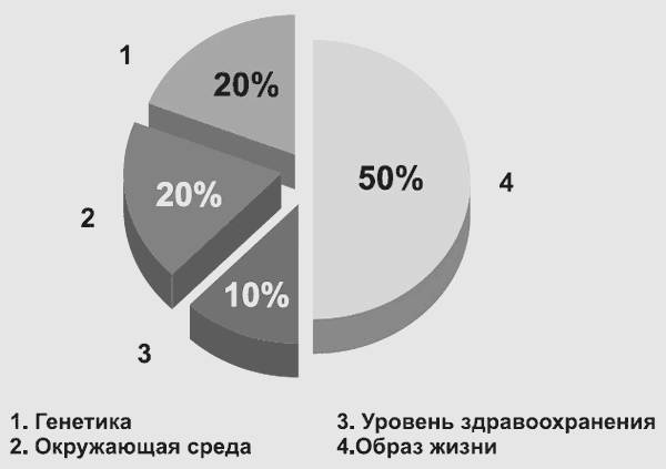 Здоровье без фанатизма: 36 часов в сутках