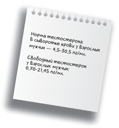 Здоровье без фанатизма: 36 часов в сутках