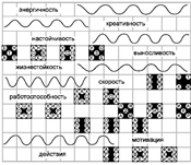 8&#189; шагов