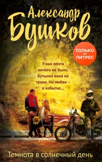 Книга Темнота в солнечный день