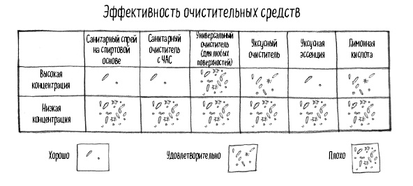 Тайная жизнь домашних микробов: все о бактериях, грибках и вирусах