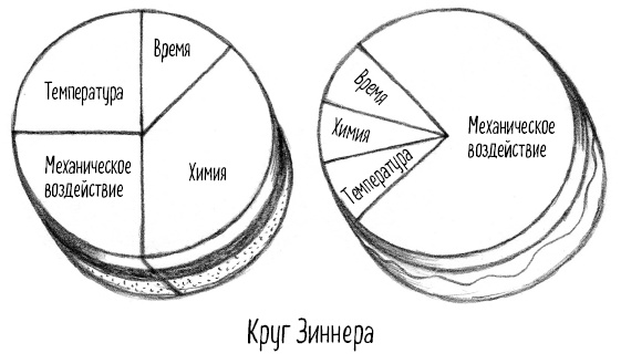 Тайная жизнь домашних микробов: все о бактериях, грибках и вирусах