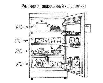 Тайная жизнь домашних микробов: все о бактериях, грибках и вирусах