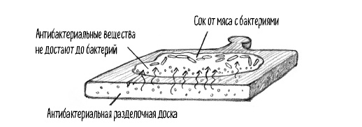 Тайная жизнь домашних микробов: все о бактериях, грибках и вирусах