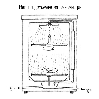 Тайная жизнь домашних микробов: все о бактериях, грибках и вирусах