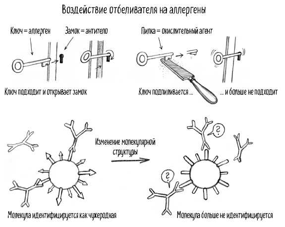 Тайная жизнь домашних микробов: все о бактериях, грибках и вирусах