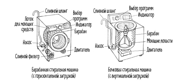 Тайная жизнь домашних микробов: все о бактериях, грибках и вирусах