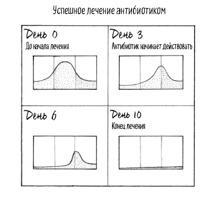 Тайная жизнь домашних микробов: все о бактериях, грибках и вирусах