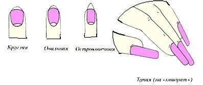 Энциклопедия женской красоты и здоровья