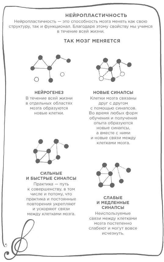 Музыка и мозг