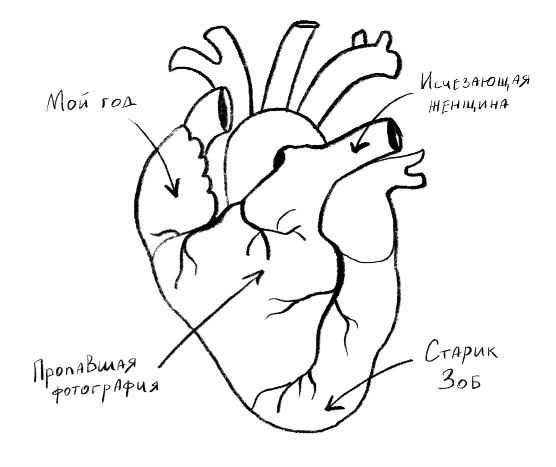 Очень странные увлечения Ноя Гипнотика