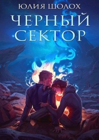 Книга Чёрный сектор