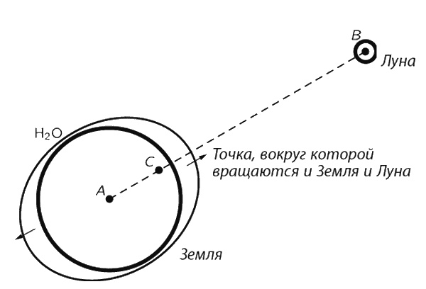 Фейнмановские лекции по физике. Современная наука о природе