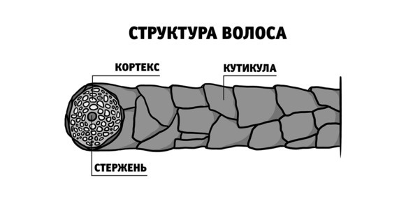 Бьютилогия. Наука о красоте для тех, кто знал, но забыл