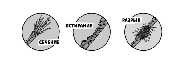 Бьютилогия. Наука о красоте для тех, кто знал, но забыл