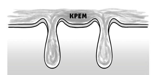 Бьютилогия. Наука о красоте для тех, кто знал, но забыл