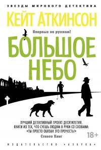 Книга Большое небо