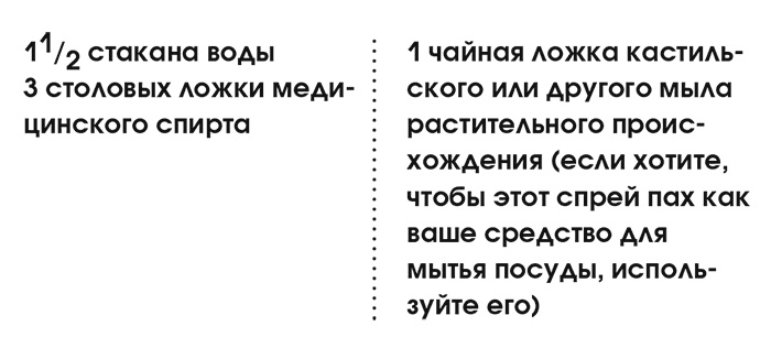 Органическая уборка для безопасности всей семьи. Дом без химии