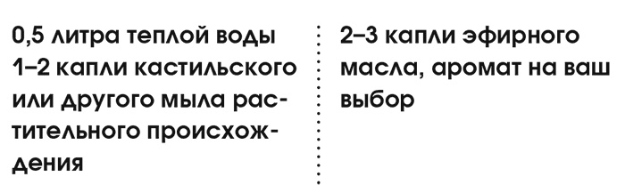 Органическая уборка для безопасности всей семьи. Дом без химии