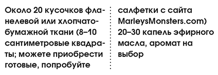 Органическая уборка для безопасности всей семьи. Дом без химии