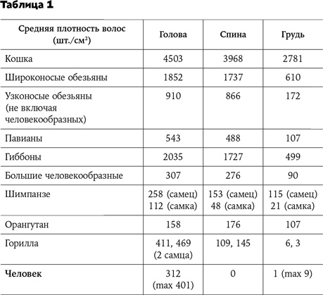 Странная обезьяна. Куда делась шерсть и почему люди разного цвета