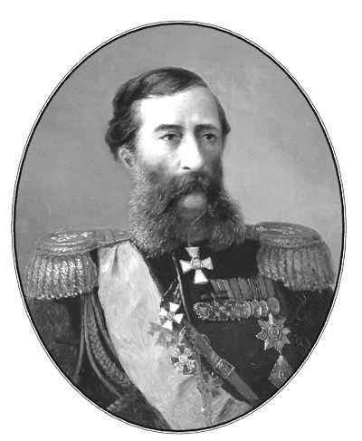 Дневник. 1873–1882. Том 2