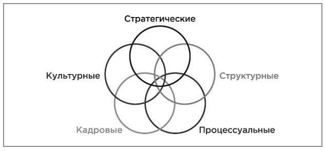 Нейробиология перемен: почему наш мозг сопротивляется всему новому и как его настроить на успех