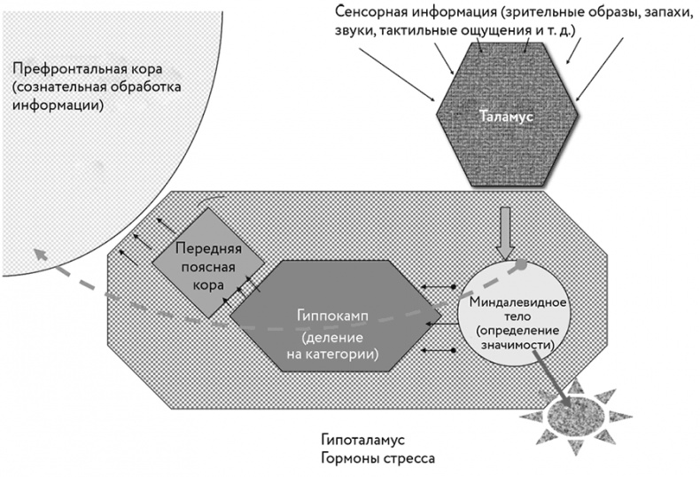 Тело помнит все