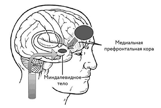 Тело помнит все