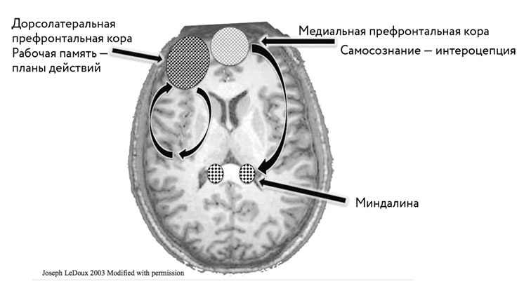 Тело помнит все