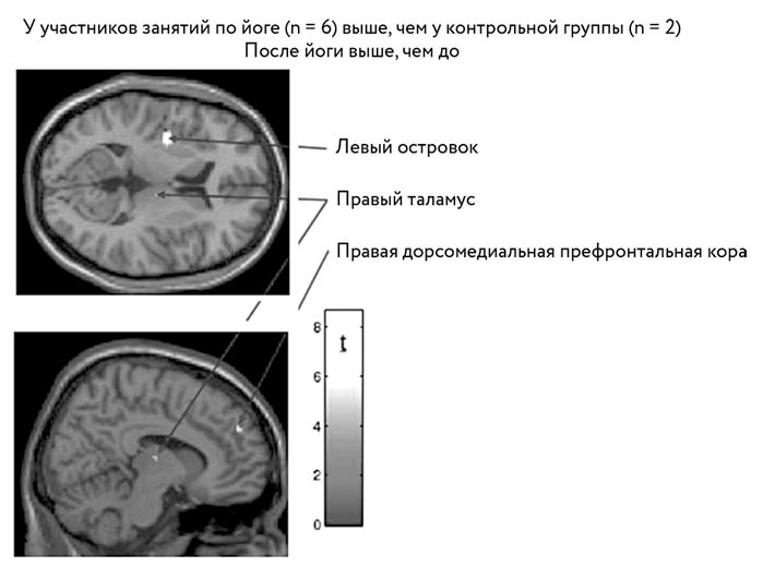 Тело помнит все