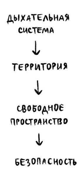 Психосоматика на пальцах. Не верить, а проверить!