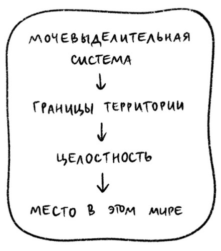 Психосоматика на пальцах. Не верить, а проверить!