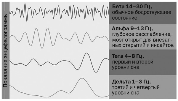 Разум под контролем