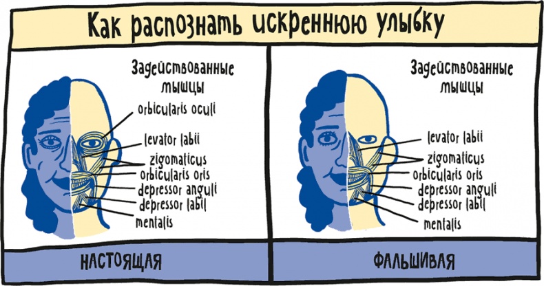 Если бы наши тела могли говорить. Руководство по эксплуатации и обслуживанию человеческого тела