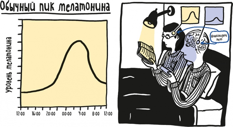 Если бы наши тела могли говорить. Руководство по эксплуатации и обслуживанию человеческого тела