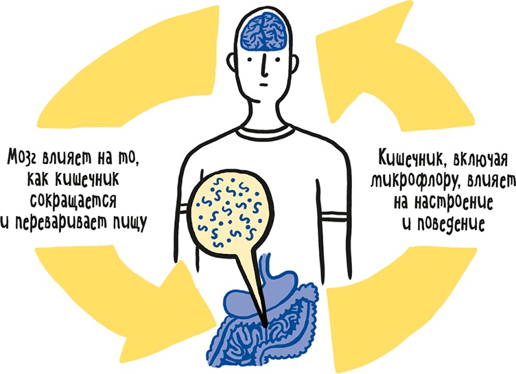 Если бы наши тела могли говорить. Руководство по эксплуатации и обслуживанию человеческого тела