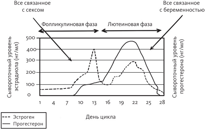 Вы и ваши гормоны. Наука о женском здоровье и гормональной контрацепции