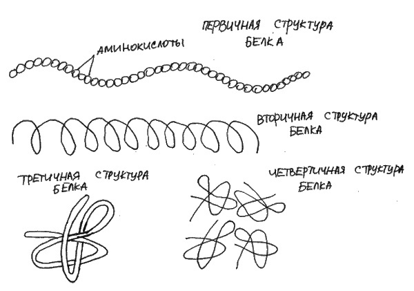 Аллергия и как с ней жить. Руководство для всей семьи