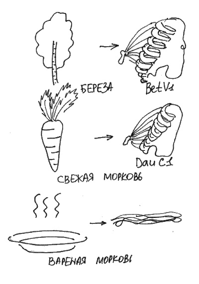 Аллергия и как с ней жить. Руководство для всей семьи