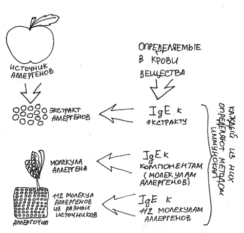 Аллергия и как с ней жить. Руководство для всей семьи