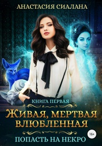 Книга Попасть на Некро