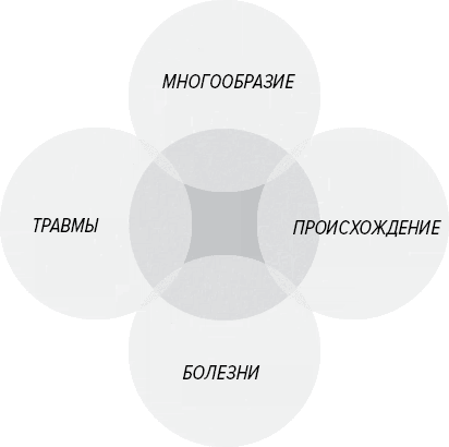 Как генерить свежие идеи