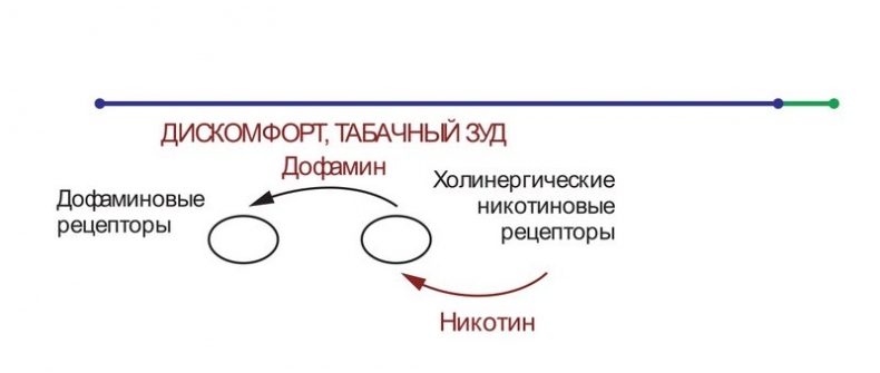 Бросаем курить за два вечера. Как избавиться от зависимости, а не просто перестать покупать сигареты