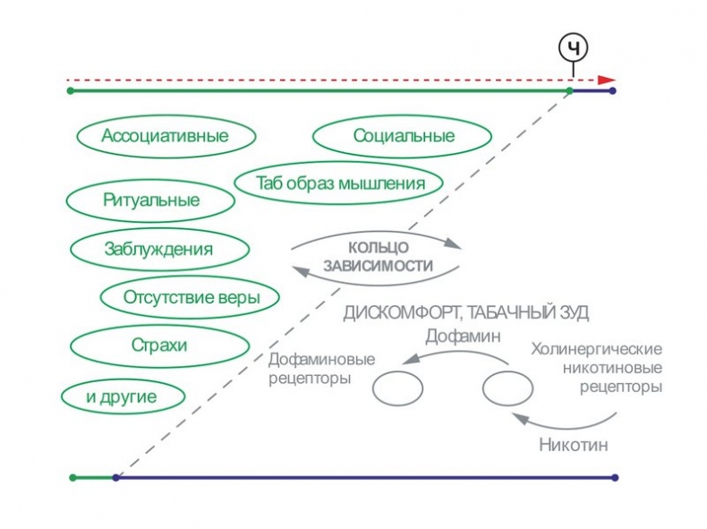 Бросаем курить за два вечера. Как избавиться от зависимости, а не просто перестать покупать сигареты