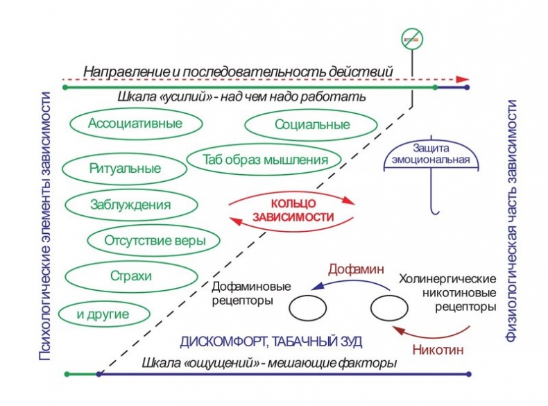 Бросаем курить за два вечера. Как избавиться от зависимости, а не просто перестать покупать сигареты